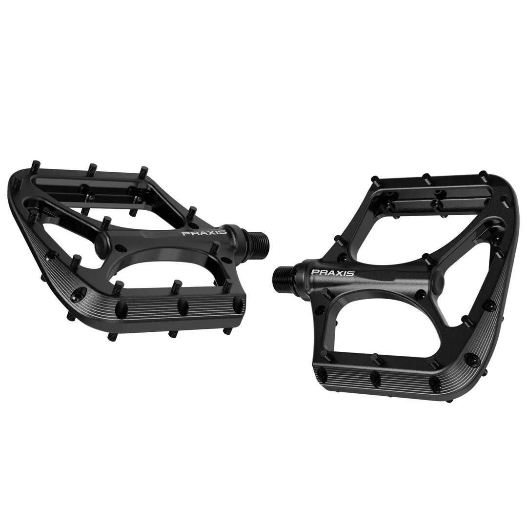 Pedals Praxis Works Praxis Works Brodium Pedals Black Dark Slate Gray