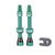 Cush Core Tubeless Valves ( ) - Dragonspine Cycling