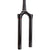 Fork Service Kits RockShox RockShox Alloy Tapered CSU Pike 29" B1 2018+ 42mm Black Dark Slate Gray