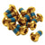Reverse Disc Rotor ( ) - Dragonspine Cycling