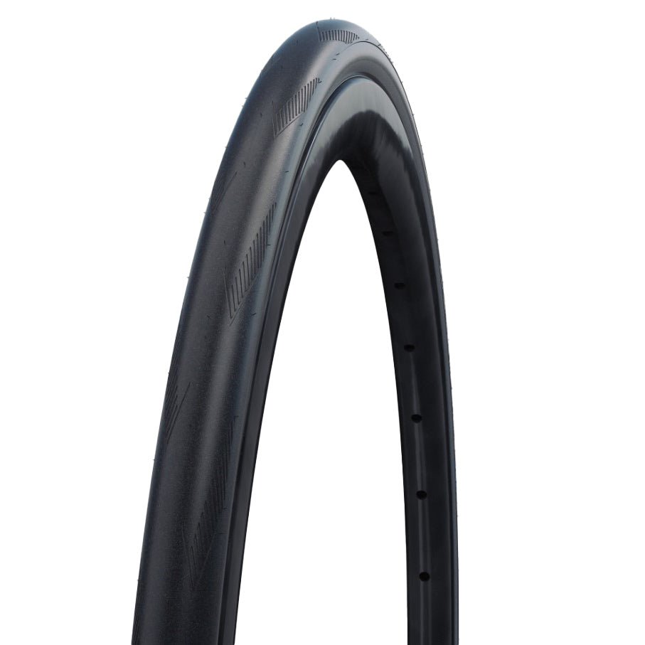 Tires Schwalbe Schwalbe One 365 Tire - 700 x 32 Tubeless Folding BLK/Reflective Performance Line RaceGuard Addix 4season E-25 Dark Slate Gray