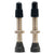 Tubeless Valves Stans No Tubes Stans Tubeless Universal Valve Stems - Brass Regular Pair Gray