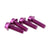 Water Bottle Cage Parts Wolf Tooth Wolf Tooth Water Bottle Cage Bolts - Set/4 Aluminum Purple Brown