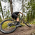 Derailleur Parts CeramicSpeed CeramicSpeed OSPW X SRAM SRAM Eagle Transmission Black/Gold LTD Dim Gray